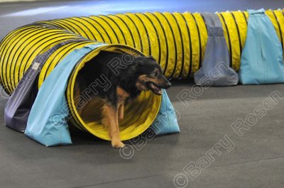 PAW_0519.jpg