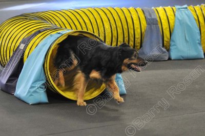 PAW_0520.jpg
