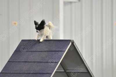 PAW_0523.jpg