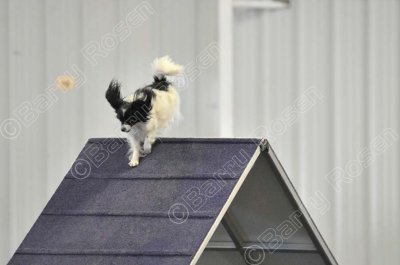 PAW_0524.jpg