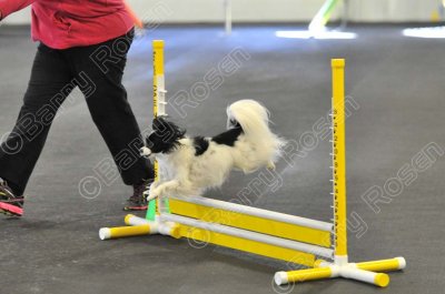 PAW_0525.jpg