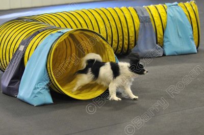 PAW_0526.jpg