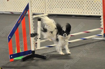 PAW_0527.jpg