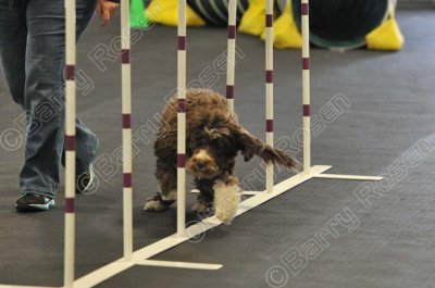 PAW_0712.jpg
