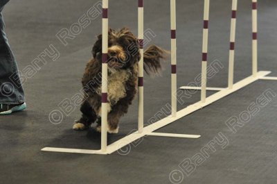 PAW_0714.jpg
