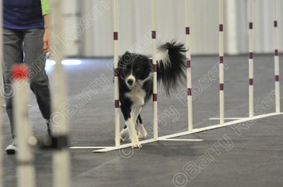 PAW_2074.jpg