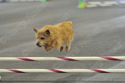 PAW_2108.jpg