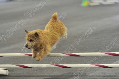 PAW_2109.jpg