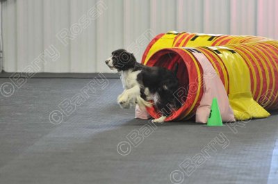 PAW_2138.jpg