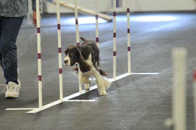 PAW_2141.jpg