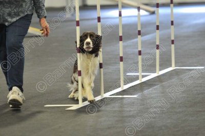 PAW_2142.jpg