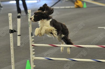PAW_2143.jpg