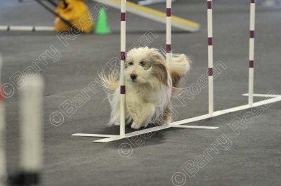 PAW_2148.jpg