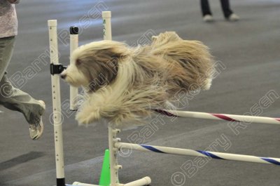 PAW_2150.jpg