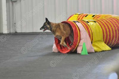 PAW_2152.jpg