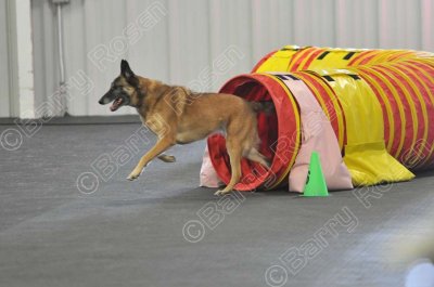 PAW_2153.jpg