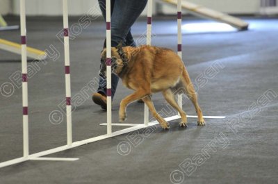 PAW_2154.jpg