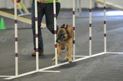 PAW_2155.jpg