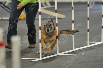 PAW_2156.jpg