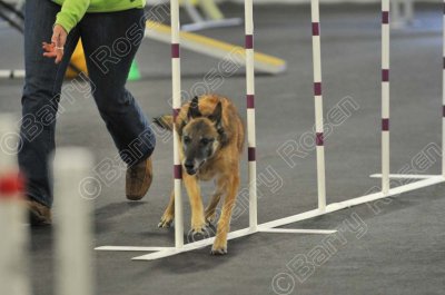 PAW_2157.jpg