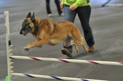 PAW_2158.jpg
