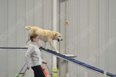 PAW_2159.jpg