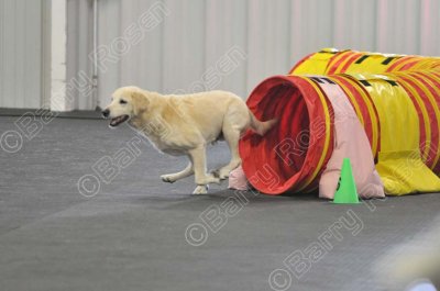 PAW_2161.jpg
