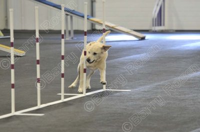 PAW_2162.jpg