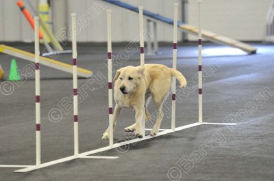 PAW_2163.jpg