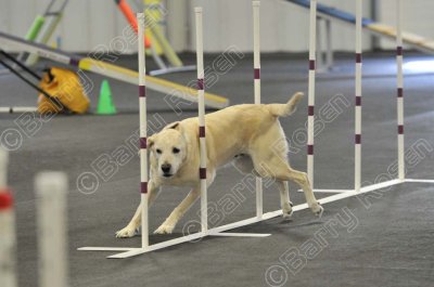 PAW_2164.jpg