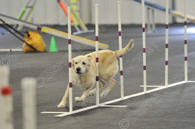 PAW_2165.jpg