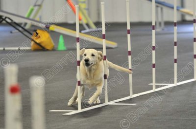 PAW_2166.jpg
