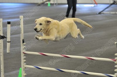 PAW_2167.jpg