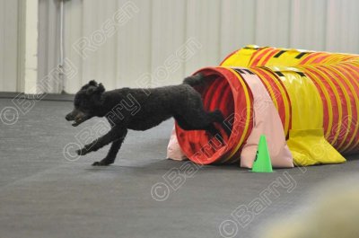 PAW_2170.jpg