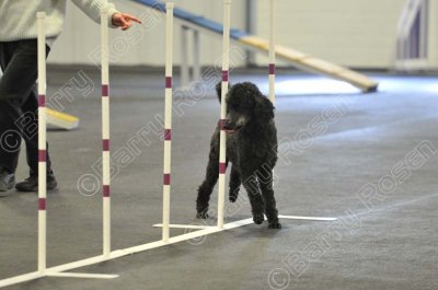 PAW_2171.jpg