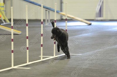 PAW_2172.jpg
