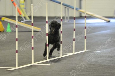 PAW_2173.jpg
