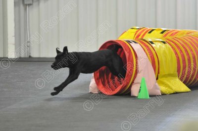 PAW_2177.jpg