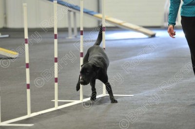 PAW_2178.jpg