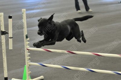 PAW_2181.jpg