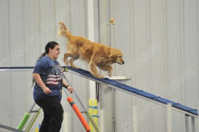 PAW_2183.jpg