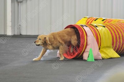 PAW_2184.jpg