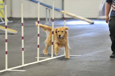PAW_2185.jpg