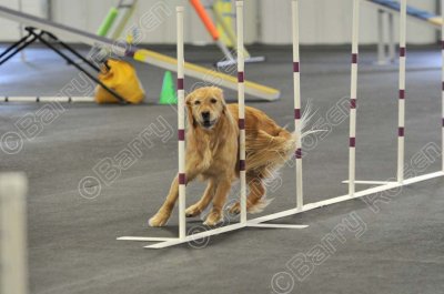 PAW_2187.jpg