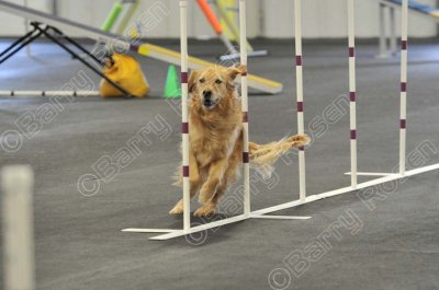 PAW_2188.jpg