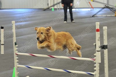 PAW_2189.jpg