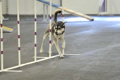 PAW_2191.jpg
