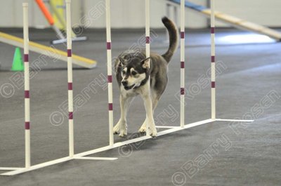 PAW_2192.jpg