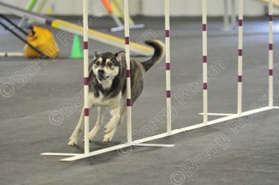 PAW_2193.jpg