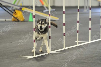 PAW_2194.jpg